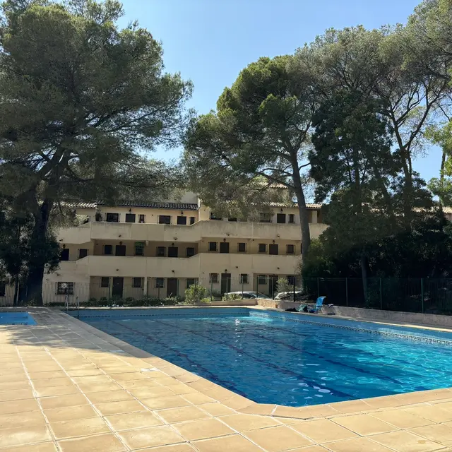 LE HAMEAU DES PINS  la piscine