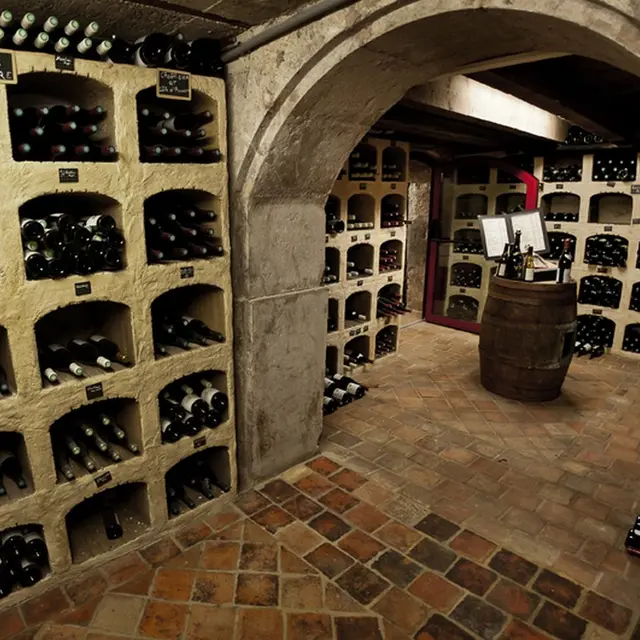 Vignobles en Scène au Chateau des Comtes de Challes_Challes-les-Eaux