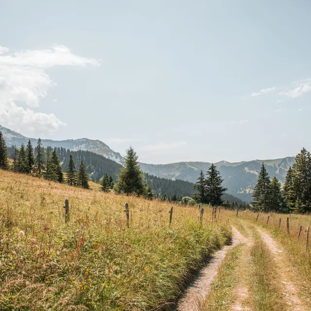 Itinéraire rando été Boucle du Village à  Rochebrune - Cote 2000_Megève