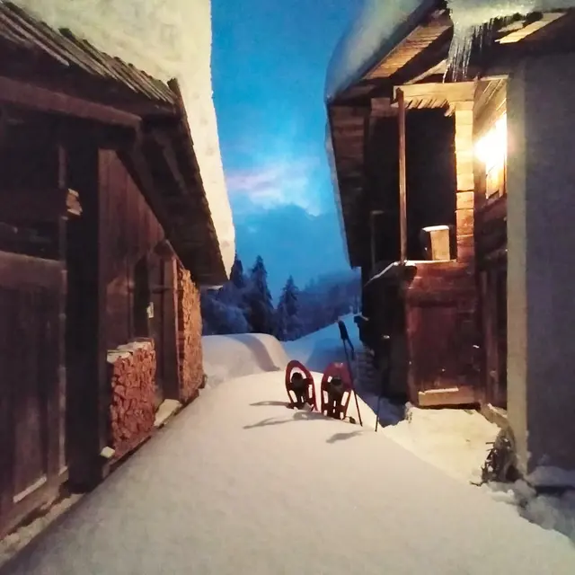 Chalet Stié Barna
