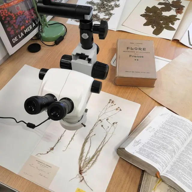 Conférence : Les collections du jardin du Lautaret_Villar-d'Arêne