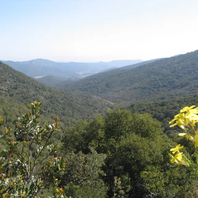 Les Hauts de Bormes