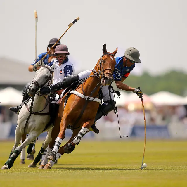 Polo Rider Cup