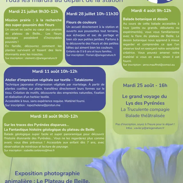 Balade botanique et dessin_Les Cabannes