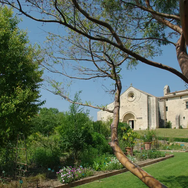 Atelier Dans la forêt lointaine ..._Mane