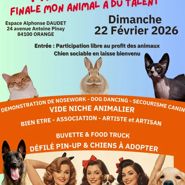 Salon animalier : OSA fait son show_Orange