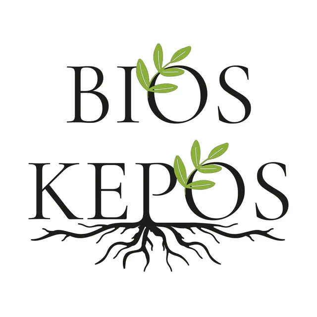 Logo de BIOS KEPOS
