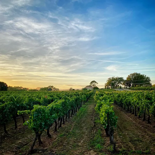 Les Caves de l'Amiral_Entrecasteaux
