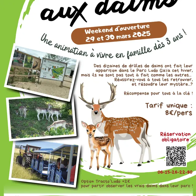 Jeu de piste : course aux daims au parc LudOGaïa_Vézeronce-Curtin