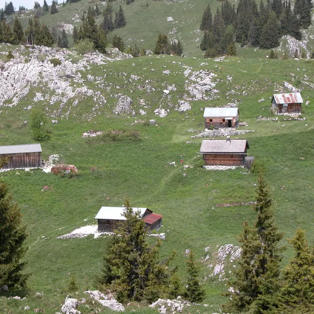 Chalets d'alpage à Nifflon