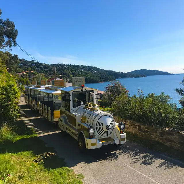 Journée Groupes Le Lavandou et Bormes Les mimosas, grain de sable et de mimosa