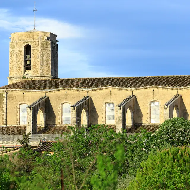 Le Vallon Provençal_Lorgues