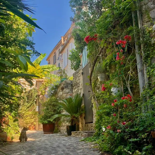 Les visites guidées du village_Biot