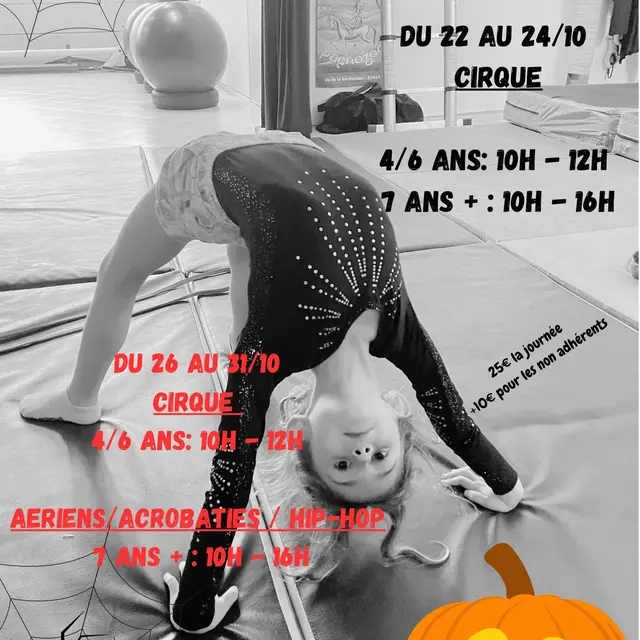 Stages vacances de Toussaint Cirque Hip Hop - Badaboum_Vaison-la-Romaine
