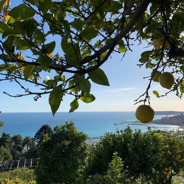 92ème Fête du Citron® - Excursion : Visite guidée de la Casetta_Menton