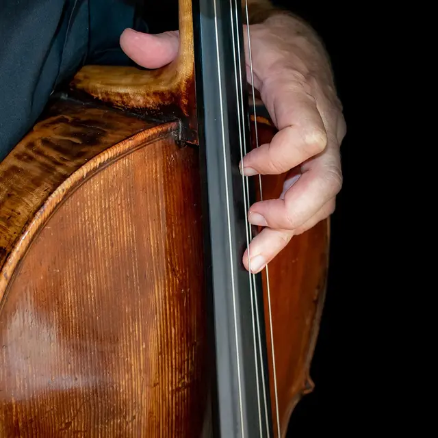 violoncelle