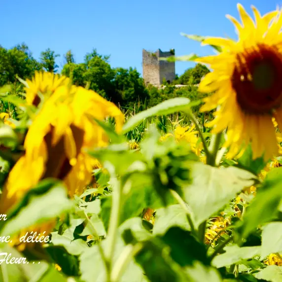 Exposition photos : Résilience, une ode à l'espoir