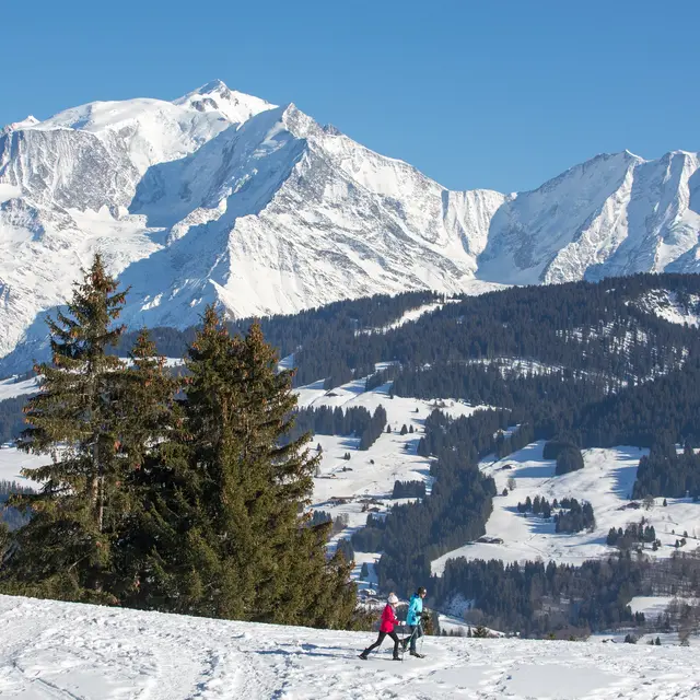 Raquettes face au mont-blanc