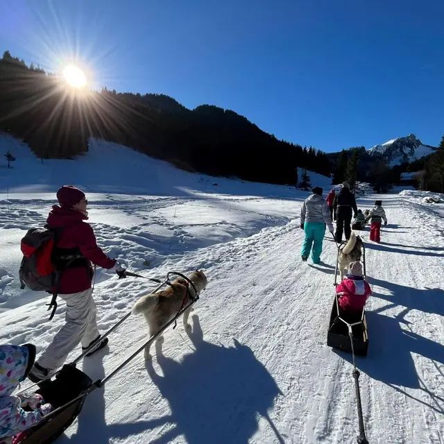 Pulka Scandinave avec les chiens de traîneaux_Bellevaux