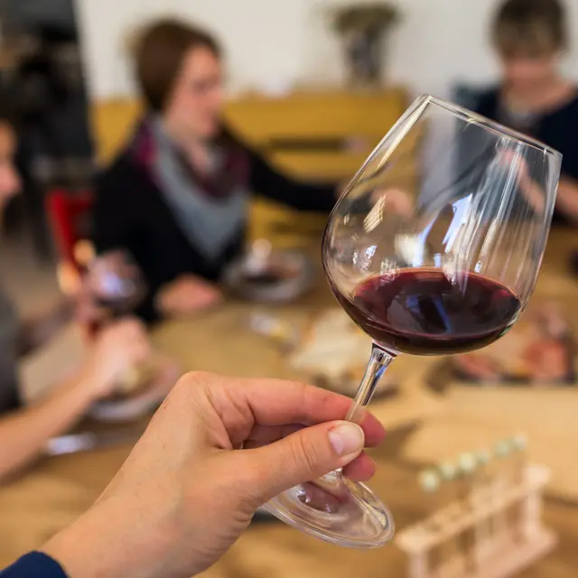 cours dégustation vins