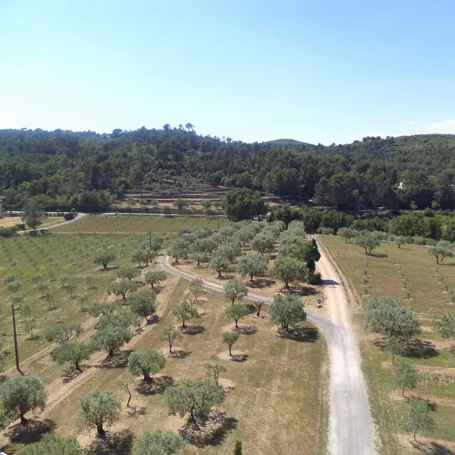 Domaine Montéou