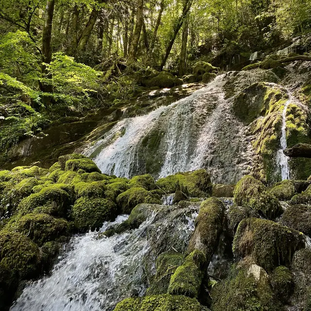 cascade de nanceau