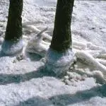 Salines de Rassuen et de Fos sur Mer