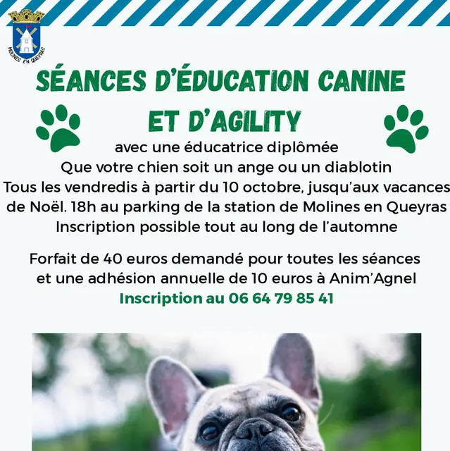 Séances d'éducation canine et d'agility_Molines-en-Queyras
