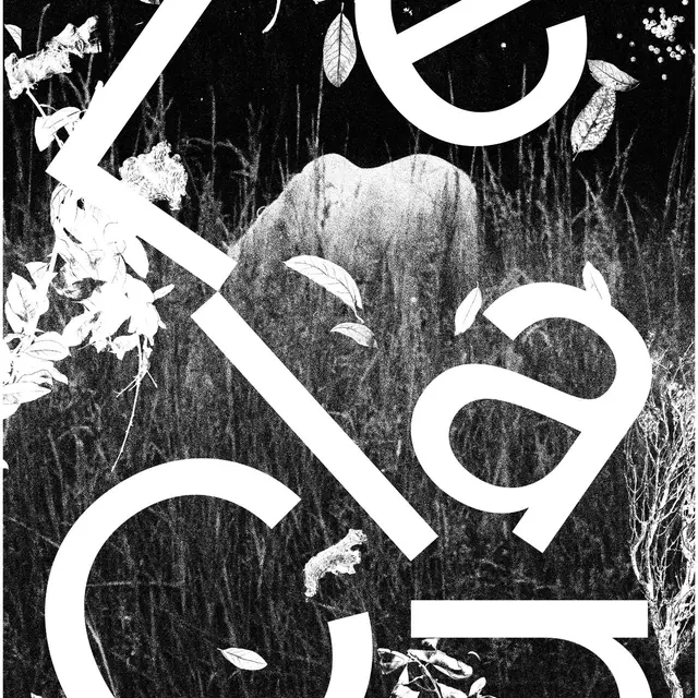 Exposition temporaire Le Clan_Villard-de-Lans