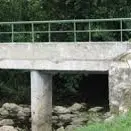 A la découverte de la Bachasse