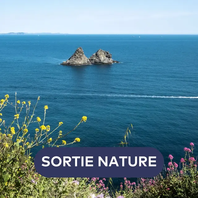 Balade Nature - Maison départementale de la nature du Plan_La Garde