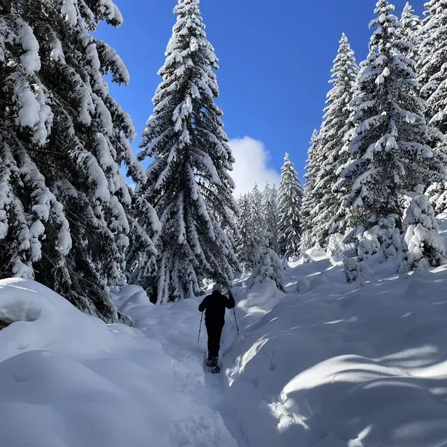 Sortie Raquettes et Fondue
