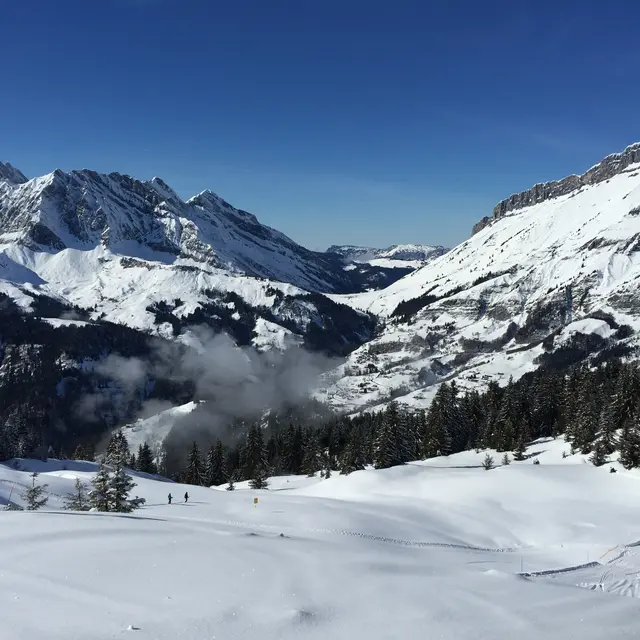 La Rose du Chapet