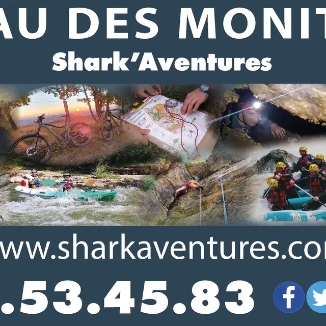 Bureau des moniteurs 