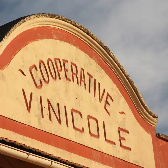 Coopérative agricole Les Vignerons de Mistral
