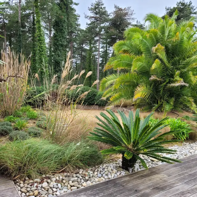 Présentation végétale