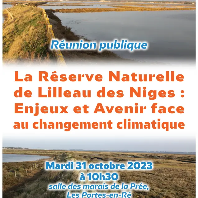 affiche réunion puiblqiue