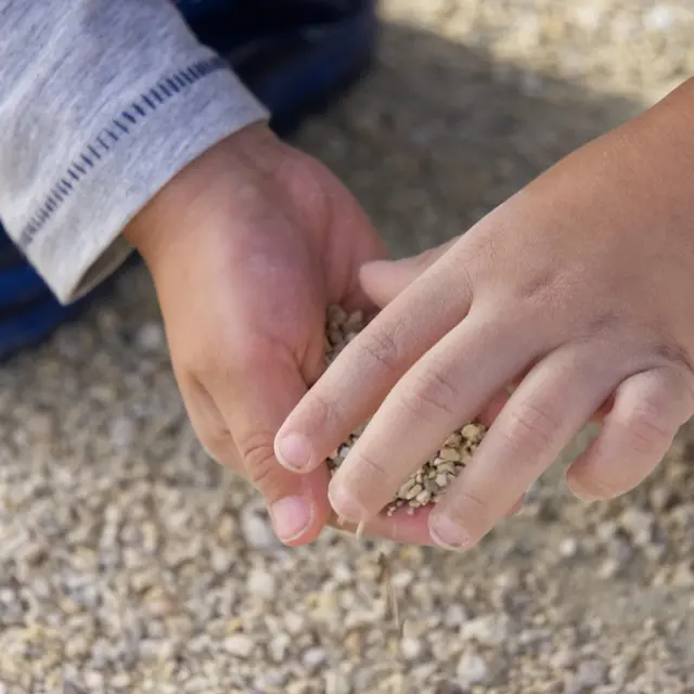 GRAINS DE SABLE : atelier motricité 0-3 ans_Châtelaillon-Plage