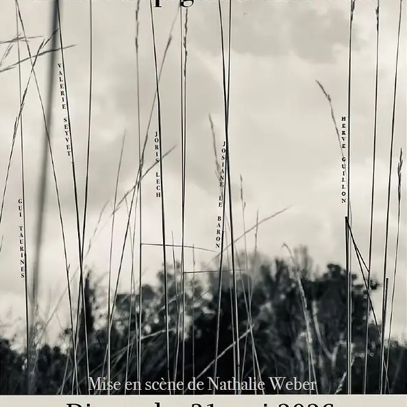 Théâtre : Perdus dans les herbes folles_Beaumes-de-Venise