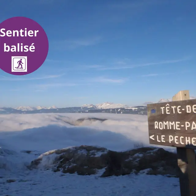 Tête de Romme