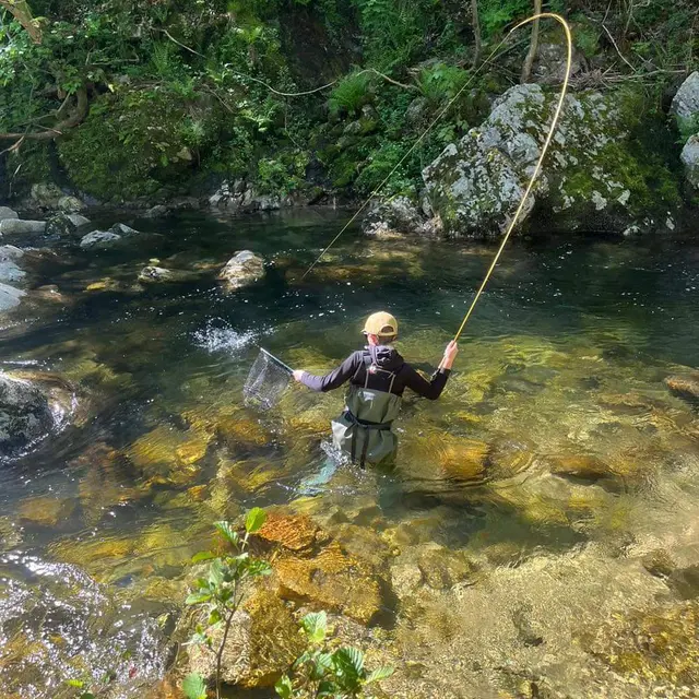Pêche à la mouche en rivière_Tence