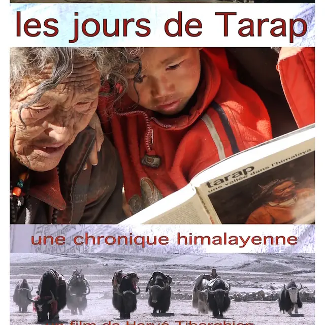 Projection plein air_Saint-Jeures