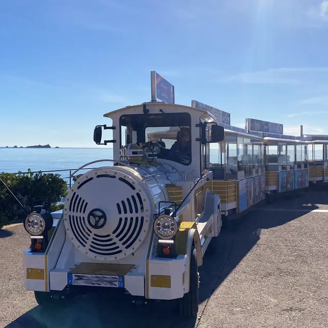 Demi_journee_Saintraphaelenpetittraintouristique