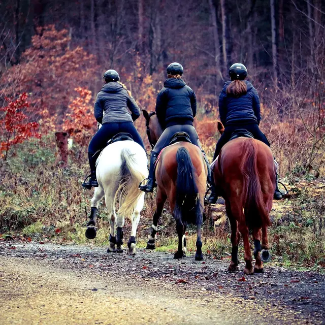 Randonnée équestre dans le Forez_Saint-Nizier-de-Fornas