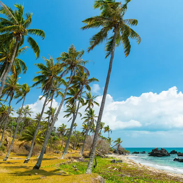 Vu depuis le camping d'Amos