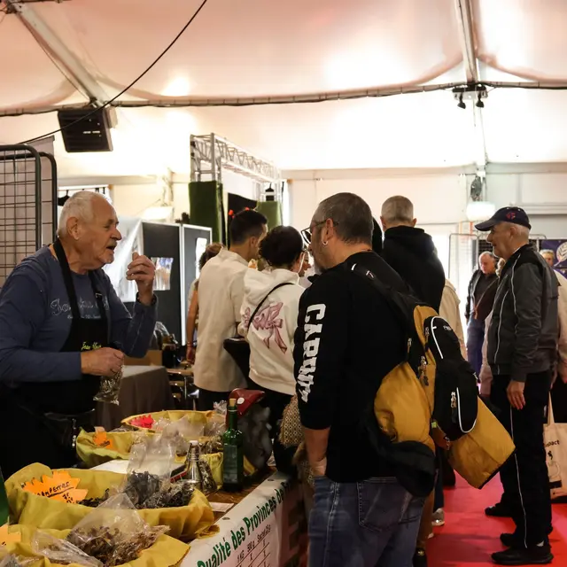 Vivez Provence_Sainte-Maxime