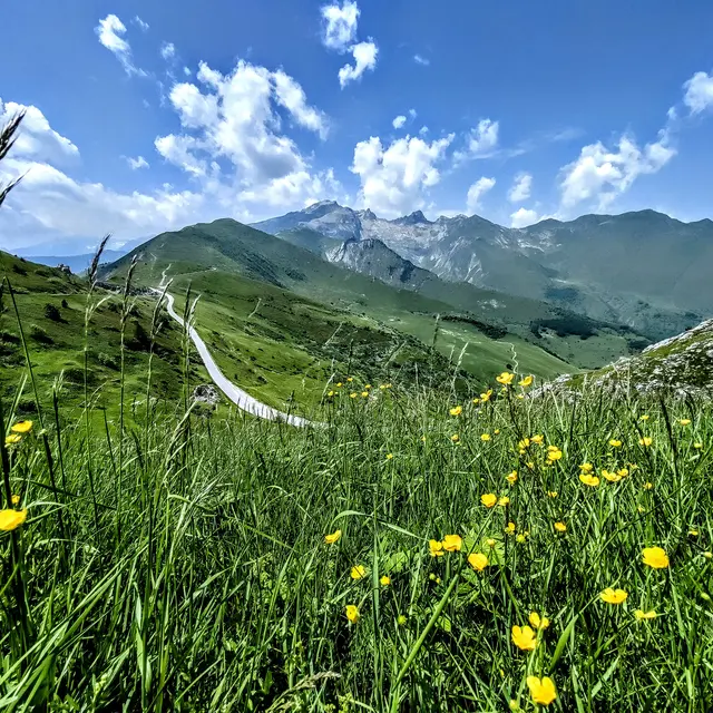 Rencontres transfrontalières au col de Tende_Tende