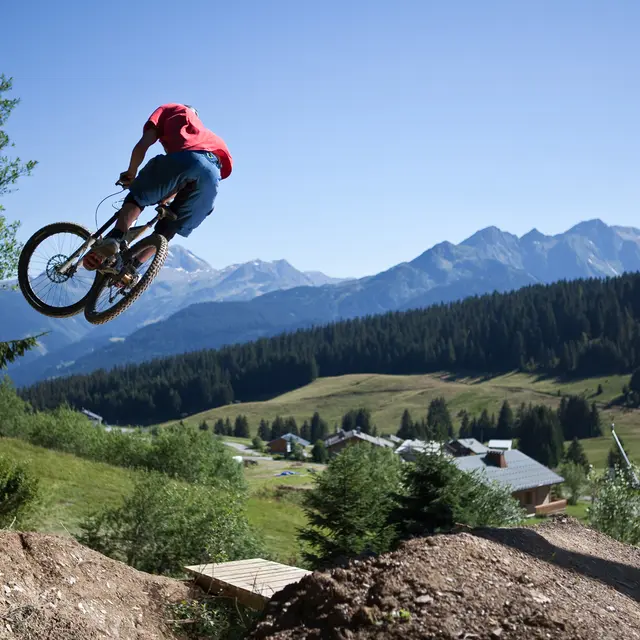 dh-vtt-double-noire-borat