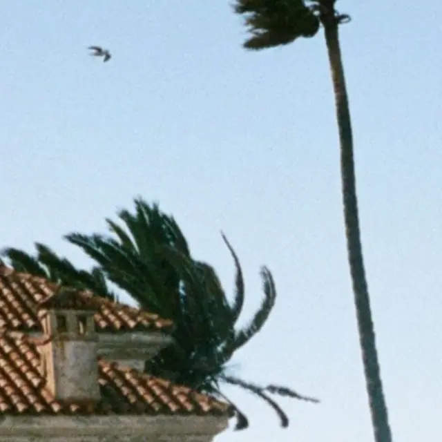 Vent violent_Aix-en-Provence