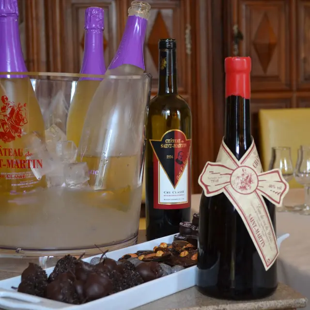 Château de Saint-Martin